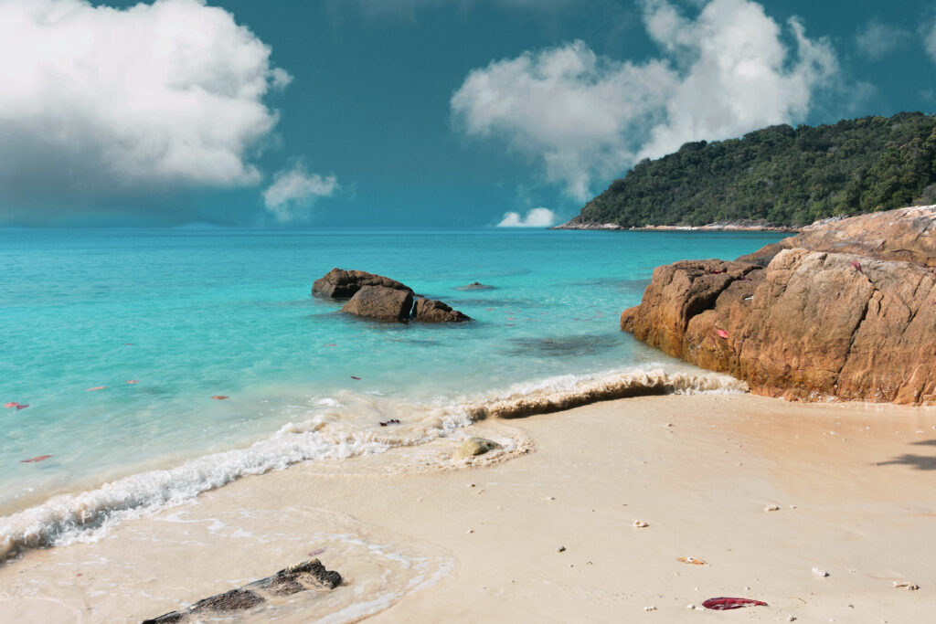 koral bay
