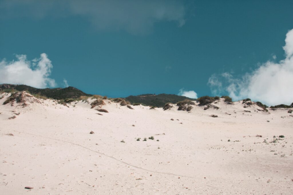 capo comino