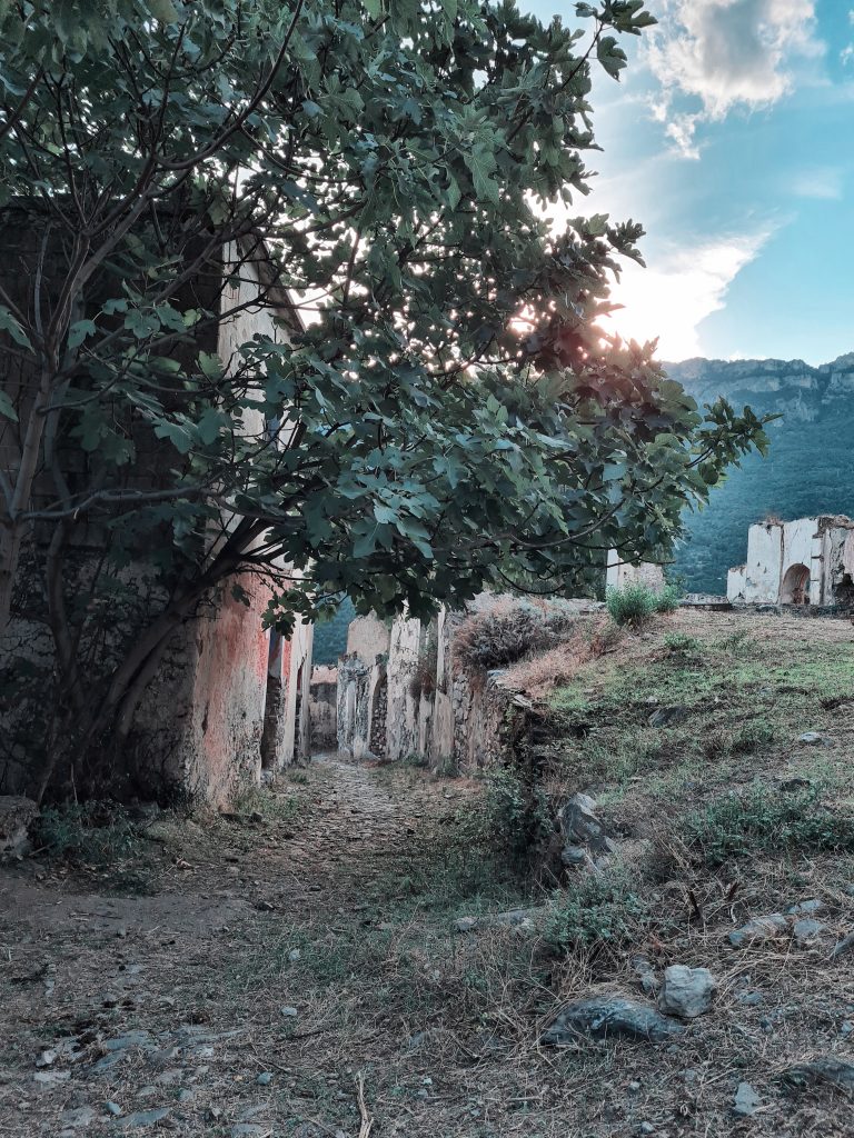 gairo vegetazione
