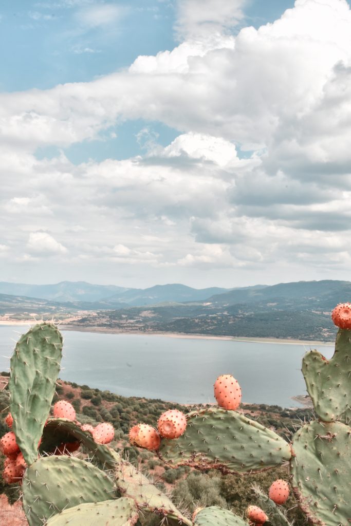 lago omodeo