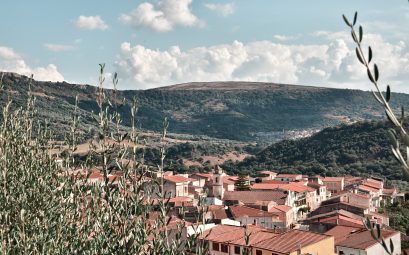 siligo panoramica