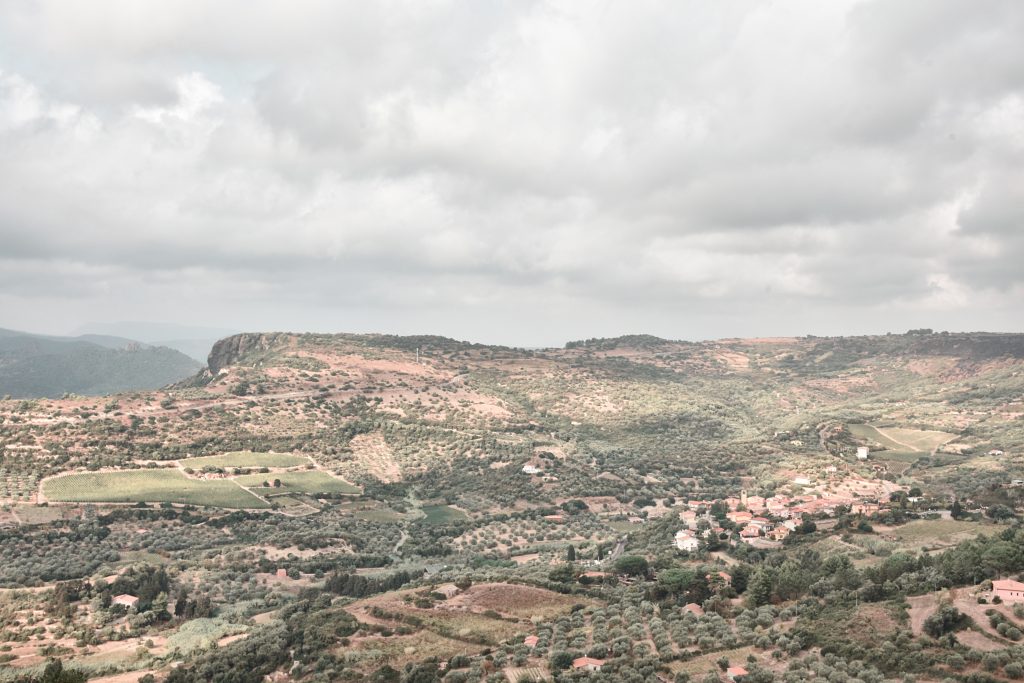 planargia
