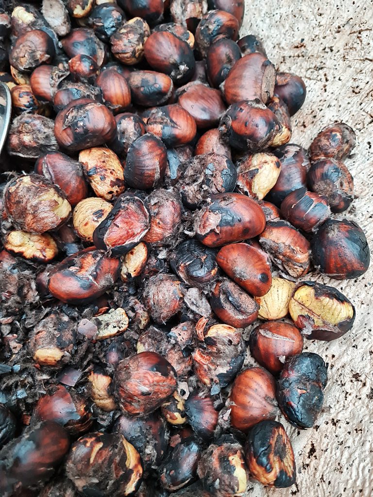 castagne lanusei