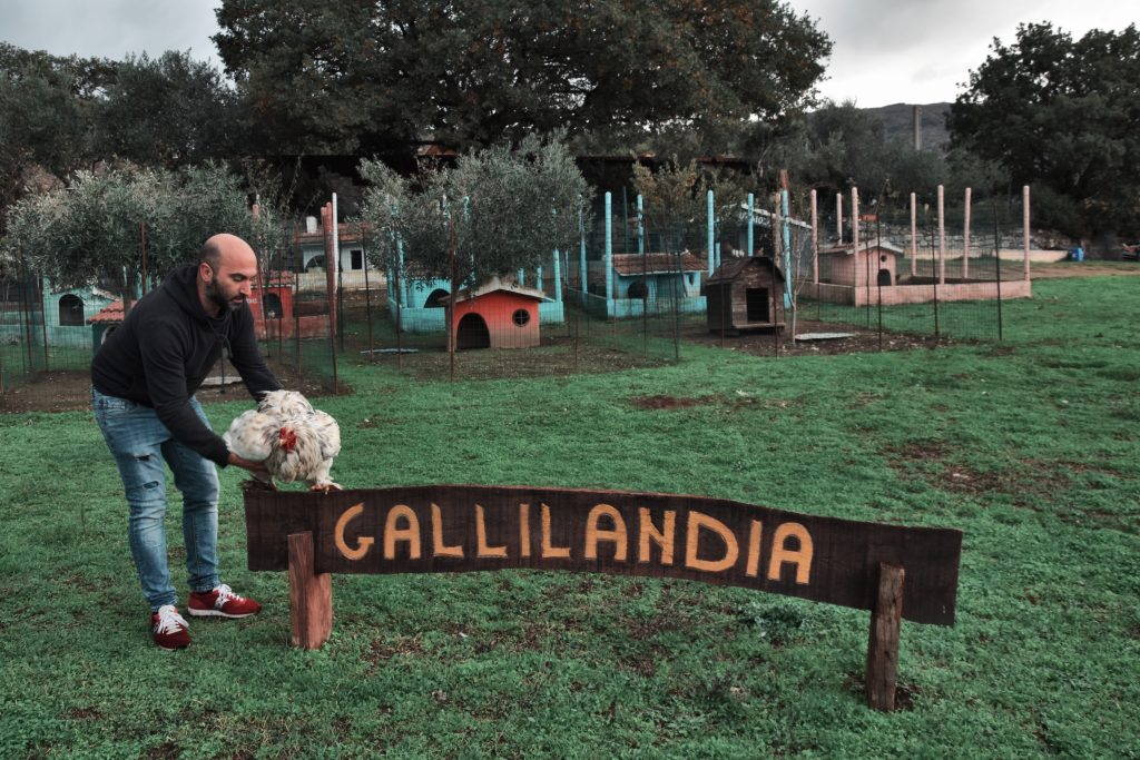 fattoria didattica la fonte