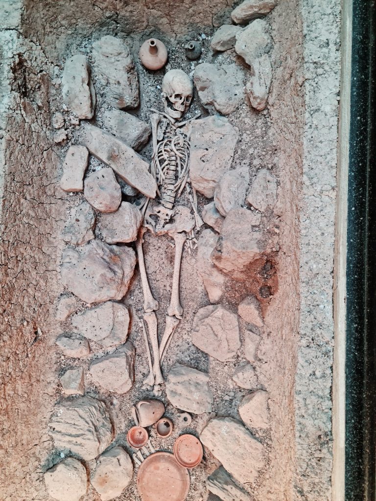 museo archeologico sardara