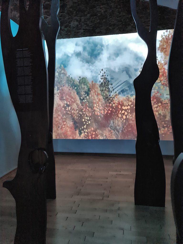 MUSEO MONTANARU