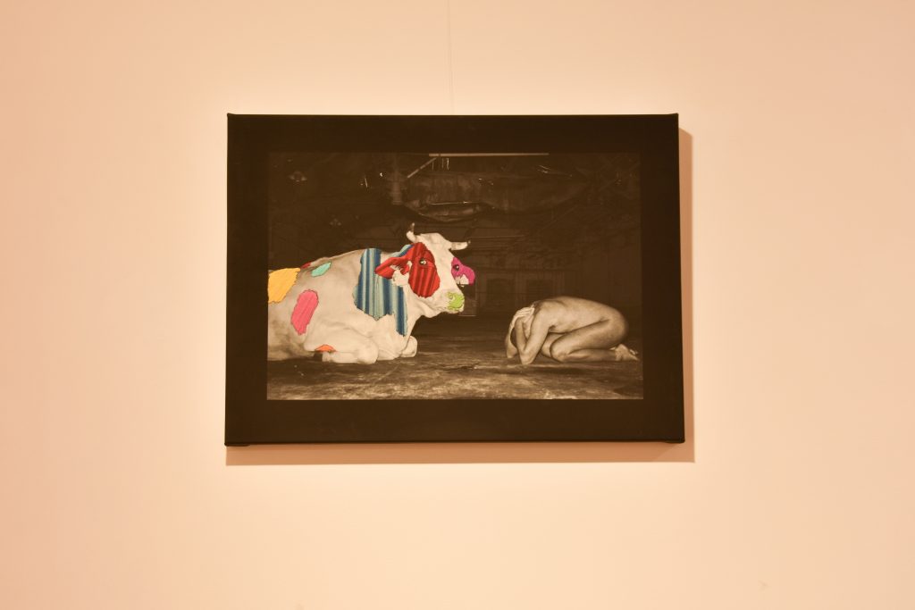 ARTE SILVIA GUA
