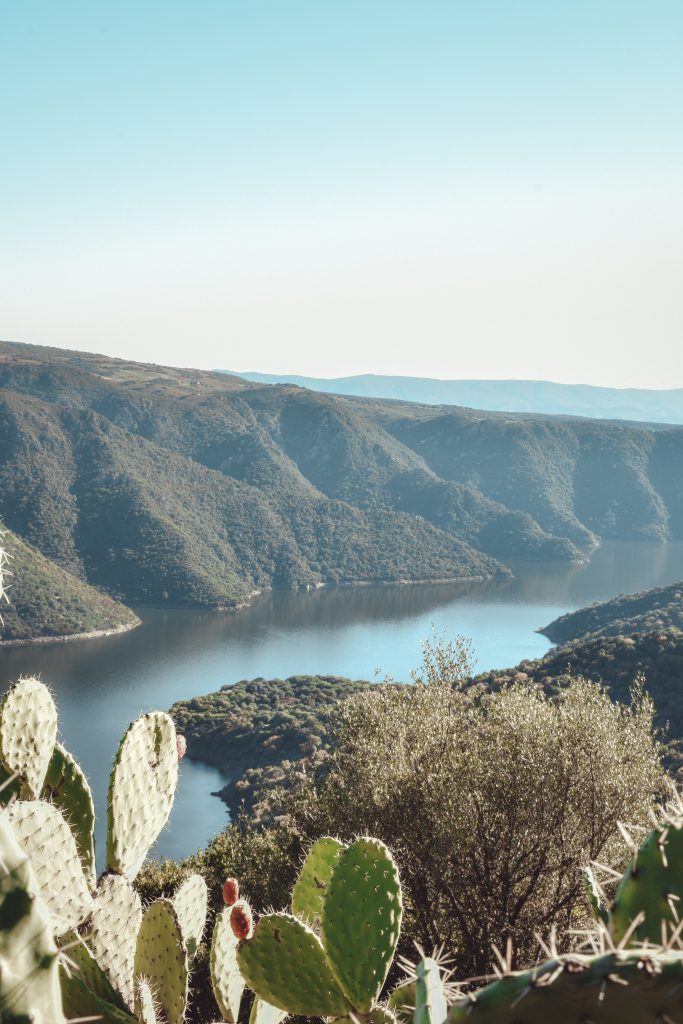 flumendosa