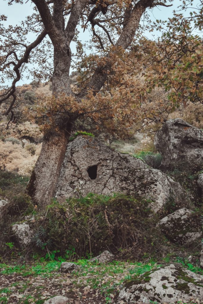parco su motti