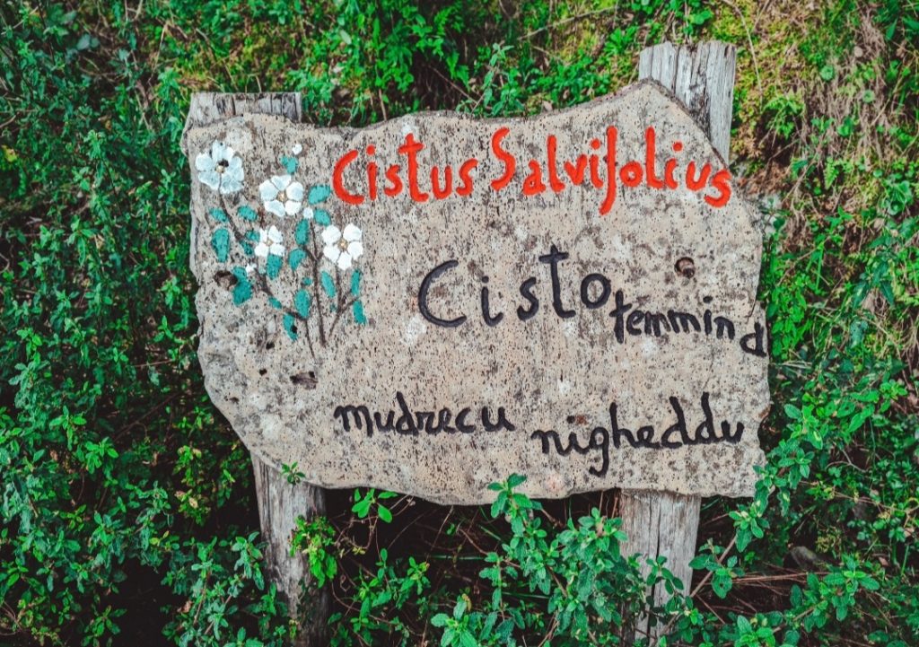 percorso naturalistico su tempiesu